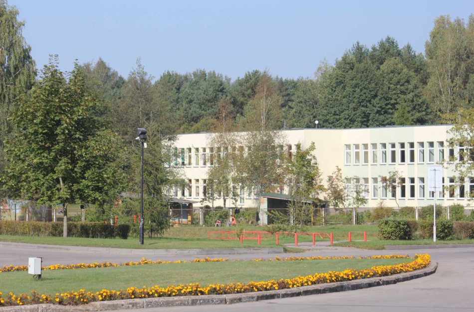 Švietimo įstaigų pertvarka Jonavos rajone: Šiluose nebelieka pradinukų, įstaigos jungiamos viena su kita