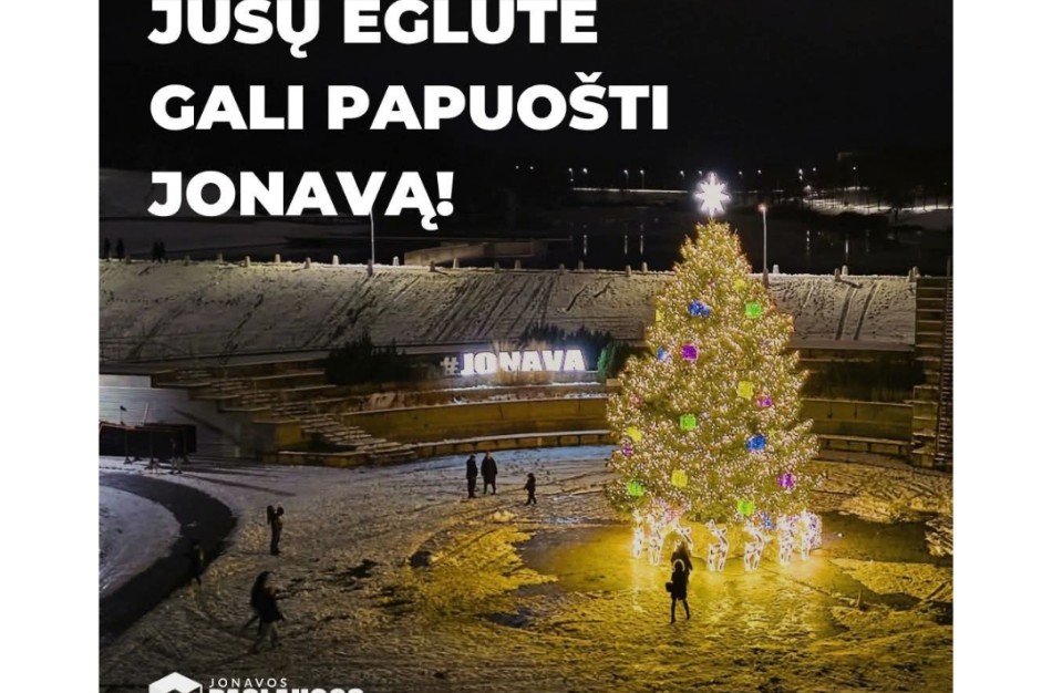 Galbūt Jūsų eglė šiemet papuoš Joninių slėnį?