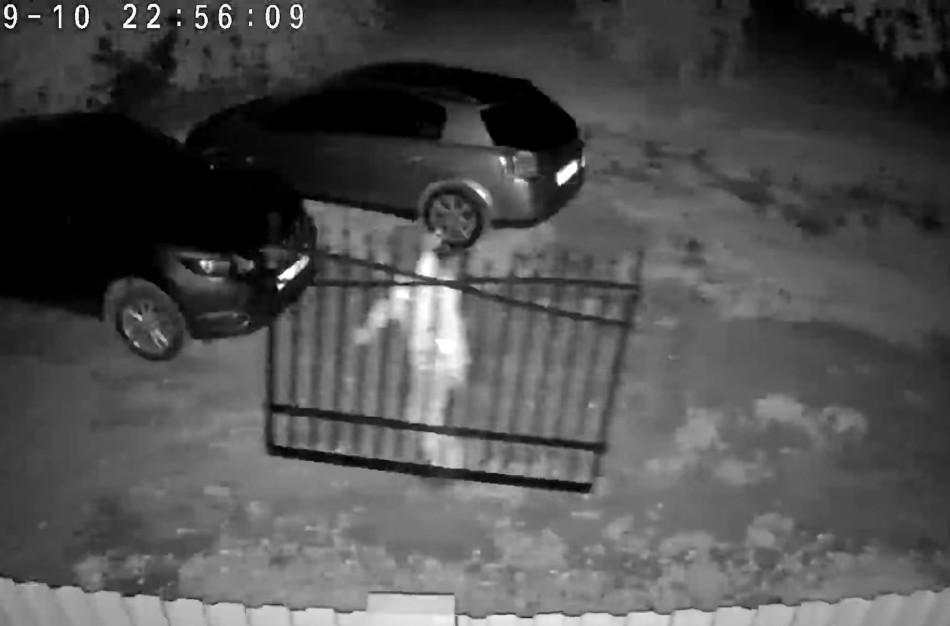 Jonavos soduose - naktinis incidentas: kam prireikė svetimų vartų?