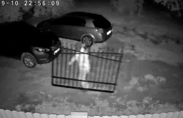 Jonavos soduose - naktinis incidentas: kam prireikė svetimų vartų?