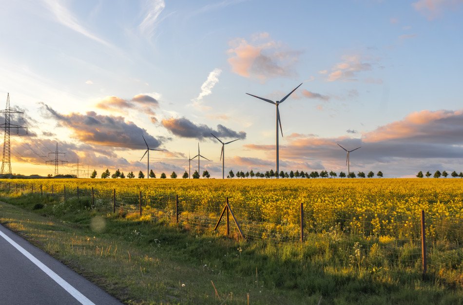 Elektros kainos kyla, tačiau yra valandų, kai ji kainuoja tris kartus pigiau