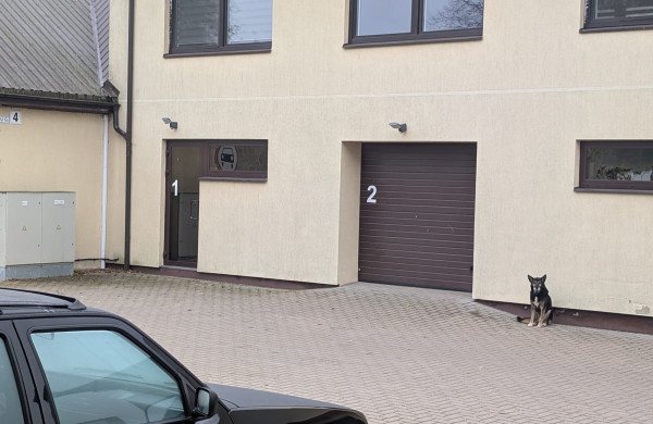 Jonavoje žmones puldinėjo šuo, tačiau BPC pranešimo policijai neperdavė - vėliau pripažino klaidą