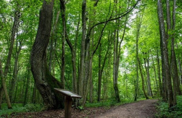 Kur ištrūkti savaitgalį? 1100 vietų VMU žemėlapyje