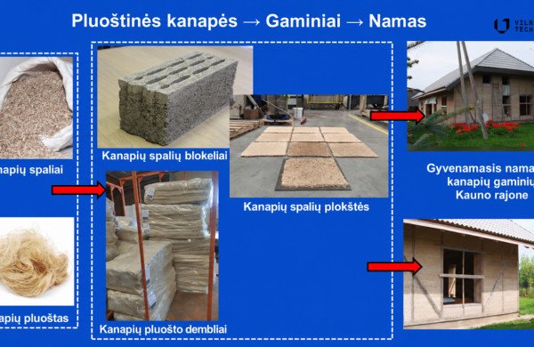 Ar Lietuvos mokslininkų kuriama dirbtinė mediena gali padėti išsaugoti miškus?