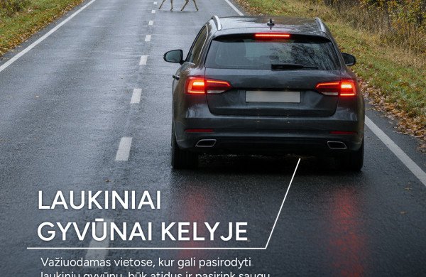„Via Lietuva“: Vėlinių savaitgalis keliuose – intensyvesnis eismas, įsigalioja vairuotojams svarbūs sezoniniai KET reikalavimai