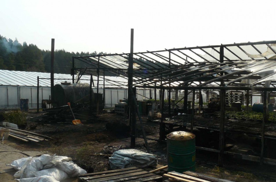 Naktį kilusio gaisro metu sudegė šiltnamis ir jame buvę tūkstančiai daigų