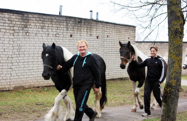 Iš cirko pabėgo trys arkliai (Papildyta video)
