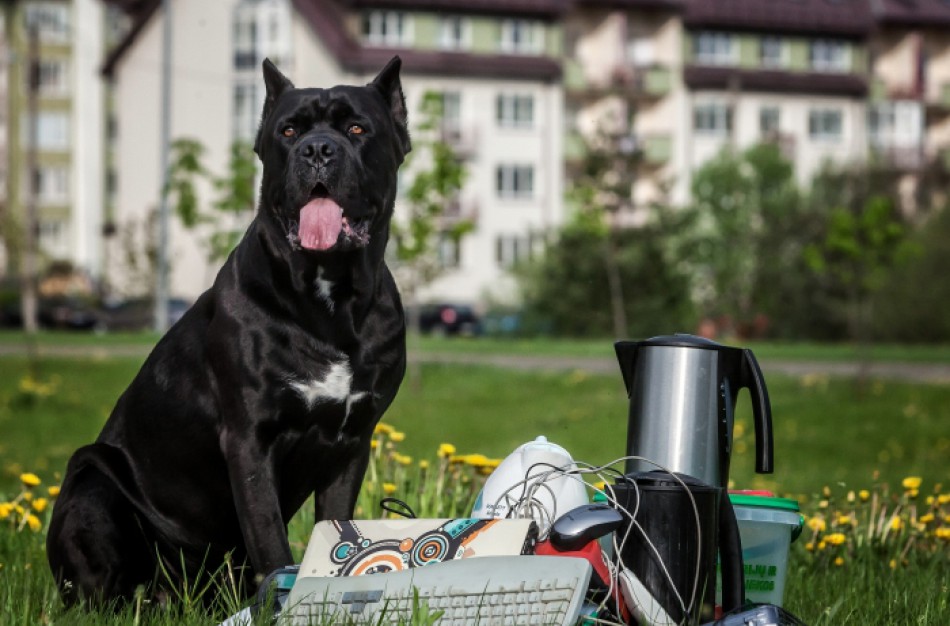 Jonavoje organizuojama atliekų surinkimo akcija
