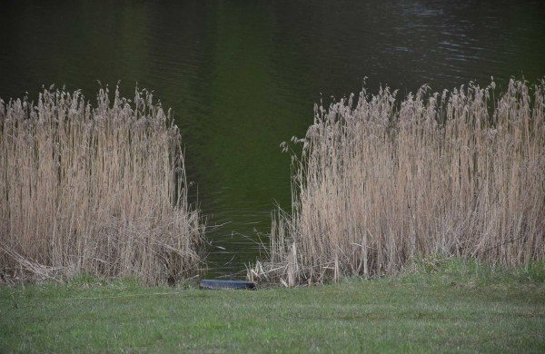 Šilumos ir gero oro stokojantis pavasaris sumažino ir akcijos „Darom“ dalyvių gretas