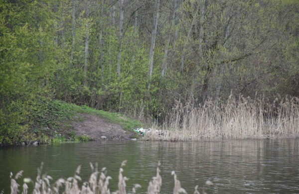 Šilumos ir gero oro stokojantis pavasaris sumažino ir akcijos „Darom“ dalyvių gretas