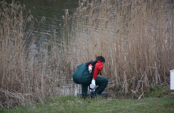 Šilumos ir gero oro stokojantis pavasaris sumažino ir akcijos „Darom“ dalyvių gretas
