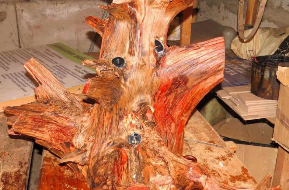 Darbštaus girininko rankose senas pušies kelmas virto sietynu