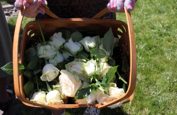 Į paskutinę kelionę išlydėtas kunigas V. A. Pranckietis