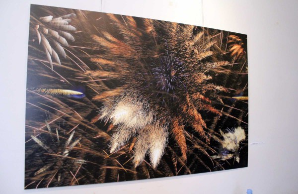 Krašto muziejuje – vilniečių menininkų darbų paroda