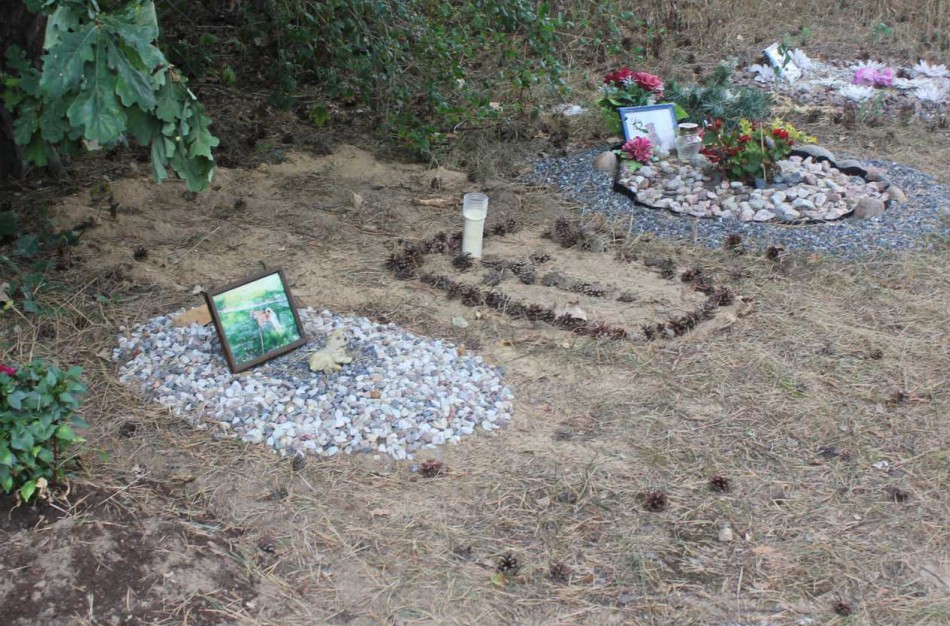 Jonavoje renkami parašai dėl gyvūnų kapinių