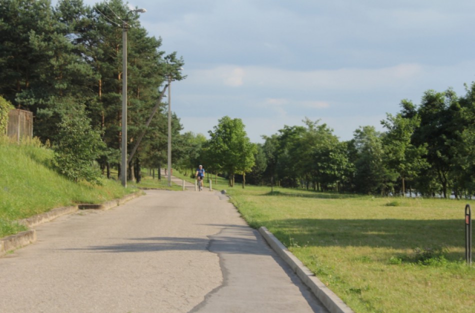 Ar vedžiojant šunis dviračių takais reikia liemenių?