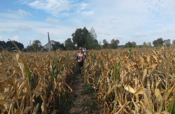 Po Jonavos kraštą kviečia keliauti pėsčiomis