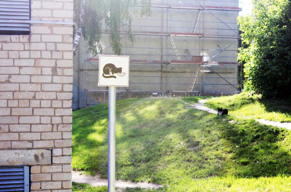 Jonavoje pradėtos įrenginėti kačių šėryklos