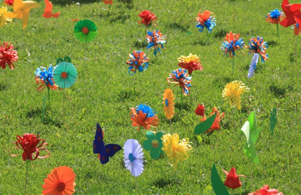 Ramybės skvere vaikai pasodino spalvotų gėlių pievą