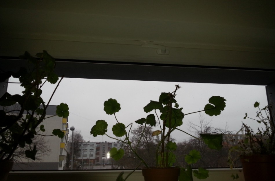 Kaip renovuotame name išvalyti langus?