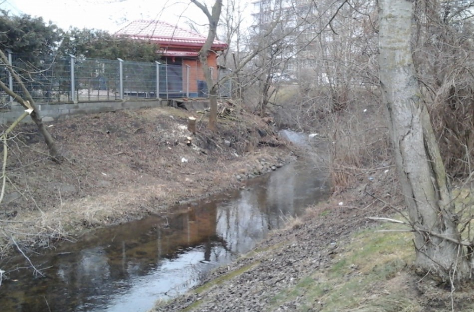 Ar buvo galima iškirsti medžius?