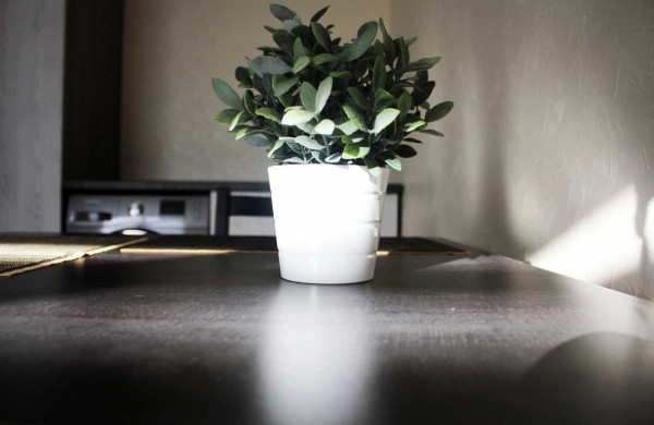 Jonavoje atsidarė „Svečių namai“, tačiau įkaušę naktiniai lankytojai – nelaukiami