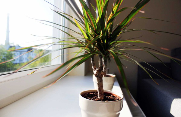 Jonavoje atsidarė „Svečių namai“, tačiau įkaušę naktiniai lankytojai – nelaukiami