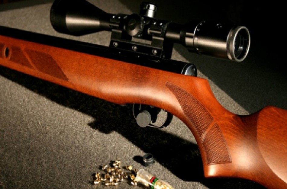 Panoteriuose – norvegas su šautuvu