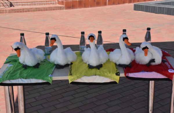 „Jonava Cycling Tour“ lenktynių lyderiu tapo D.Džervus