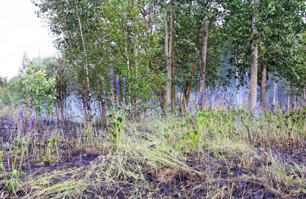 Degančią žolę gesino sustiprintos gelbėtojų pajėgos