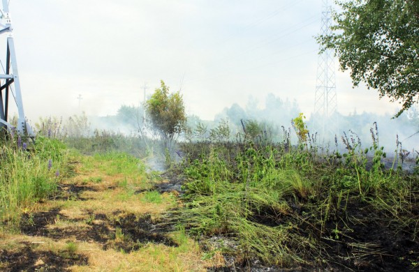 Degančią žolę gesino sustiprintos gelbėtojų pajėgos