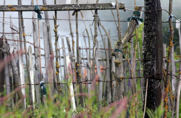 Degančią žolę gesino sustiprintos gelbėtojų pajėgos