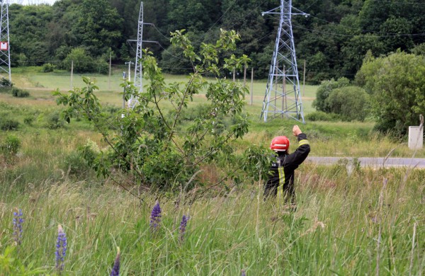 Degančią žolę gesino sustiprintos gelbėtojų pajėgos