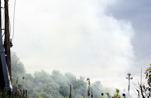 Degančią žolę gesino sustiprintos gelbėtojų pajėgos