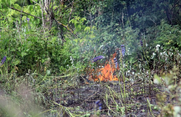 Degančią žolę gesino sustiprintos gelbėtojų pajėgos
