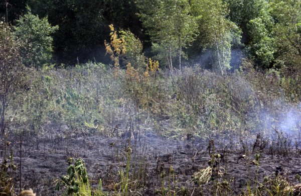 Degančią žolę gesino sustiprintos gelbėtojų pajėgos