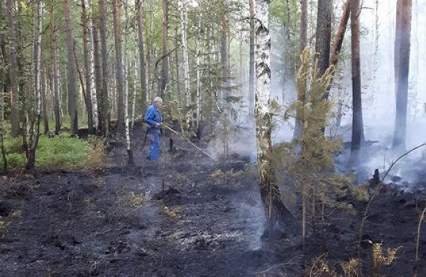 Gaižiūnų miške, prie poilsiavietės – didelis gaisras