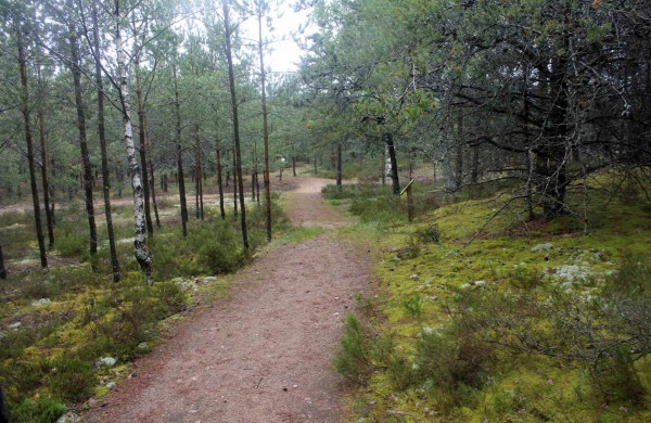 Apleistoje raketų bazėje žygeiviai ieškojo istorijos pėdsakų 