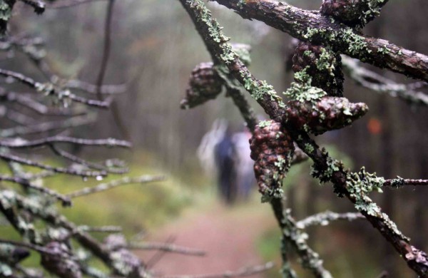 Apleistoje raketų bazėje žygeiviai ieškojo istorijos pėdsakų 