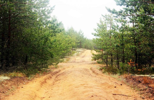Apleistoje raketų bazėje žygeiviai ieškojo istorijos pėdsakų 