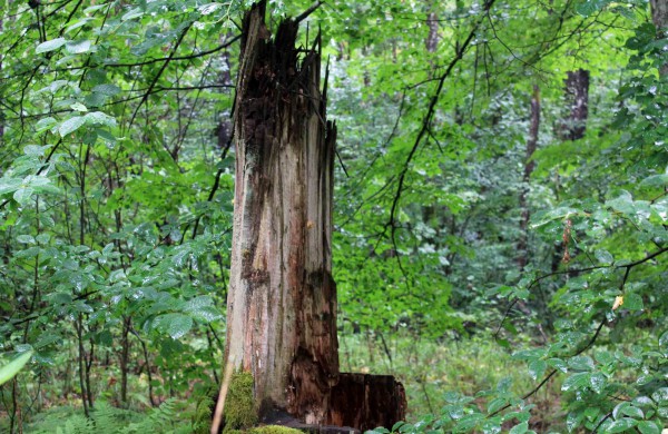 Apleistoje raketų bazėje žygeiviai ieškojo istorijos pėdsakų 