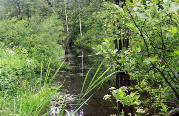 Apleistoje raketų bazėje žygeiviai ieškojo istorijos pėdsakų 