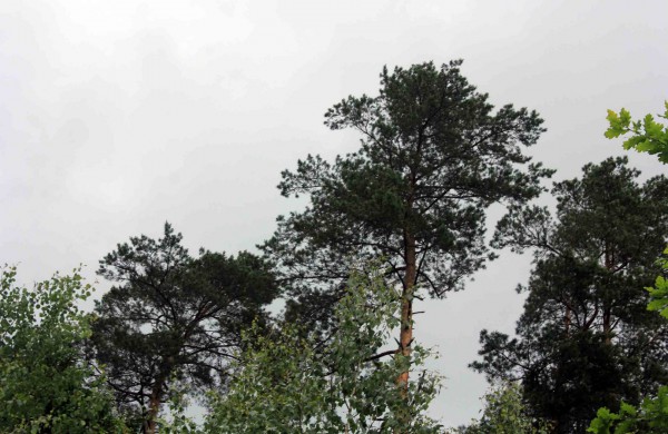 Apleistoje raketų bazėje žygeiviai ieškojo istorijos pėdsakų 