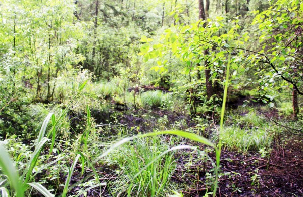 Apleistoje raketų bazėje žygeiviai ieškojo istorijos pėdsakų 