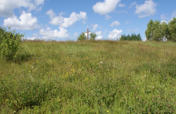 Prie Taurostos tvenkinio – kepsninės su stalais