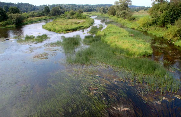 Upninkų gyventoja savivaldybei dovanoja butą: „Prašau priimti šią dovaną“