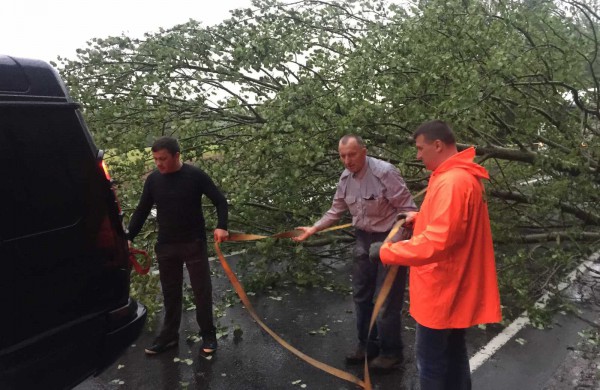 Vėtros padariniai Jonavoje – nuversti keli medžiai, žmonės nenukentėjo
