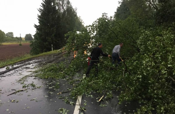 Vėtros padariniai Jonavoje – nuversti keli medžiai, žmonės nenukentėjo