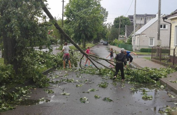Vėtros padariniai Jonavoje – nuversti keli medžiai, žmonės nenukentėjo