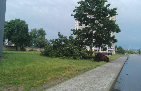 Vėtros padariniai Jonavoje – nuversti keli medžiai, žmonės nenukentėjo